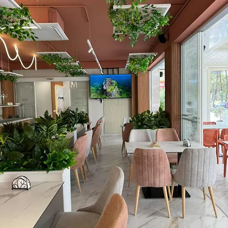 Star Hotel&restaurant