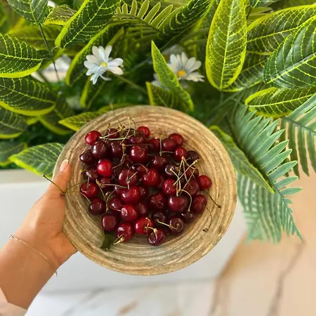 Star & Restaurant Appartamento