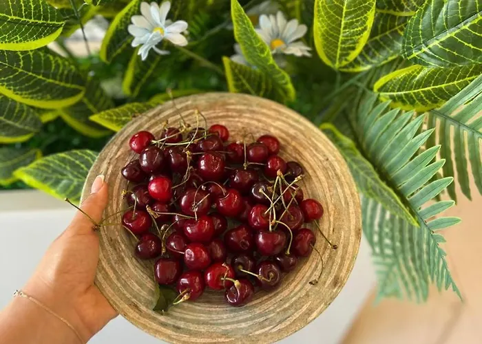 Star & Restaurant Appartement